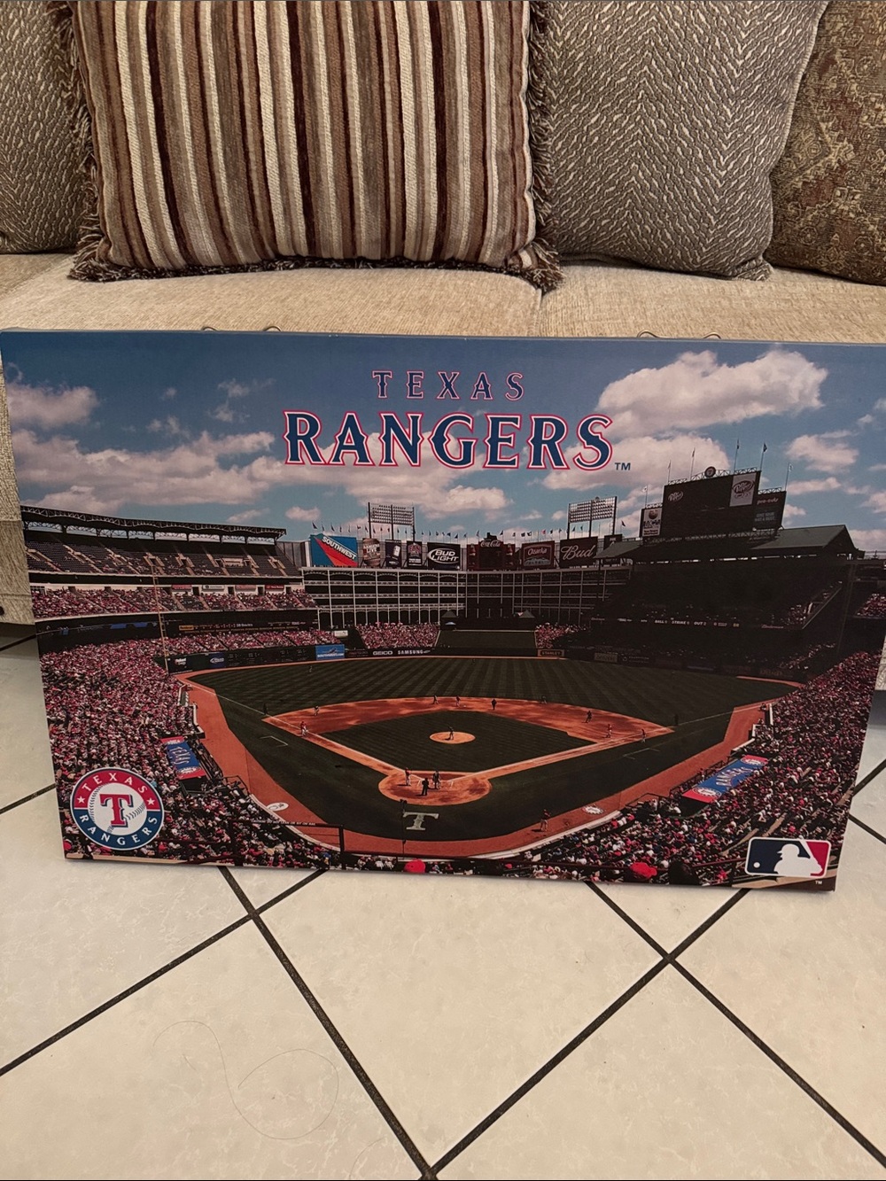 MLB Texas Rangers Stadium Canvas in Blue, Red, Green, Brown